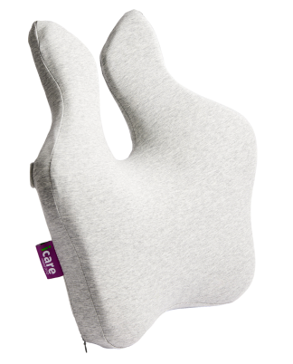 Icare Reform Full Back Support